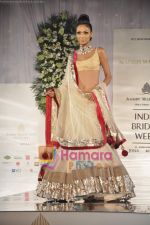 Model walks the ramp for Manish Malhotra at Aamby Valley India Bridal Week day 5 on 2nd Nov 2010 (2).JPG